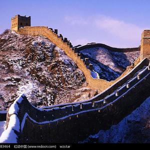 欧美Z○Zozo重口另类1
