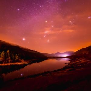 欧美Z○Zozo重口另类1
